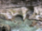 Wasser bewegt
