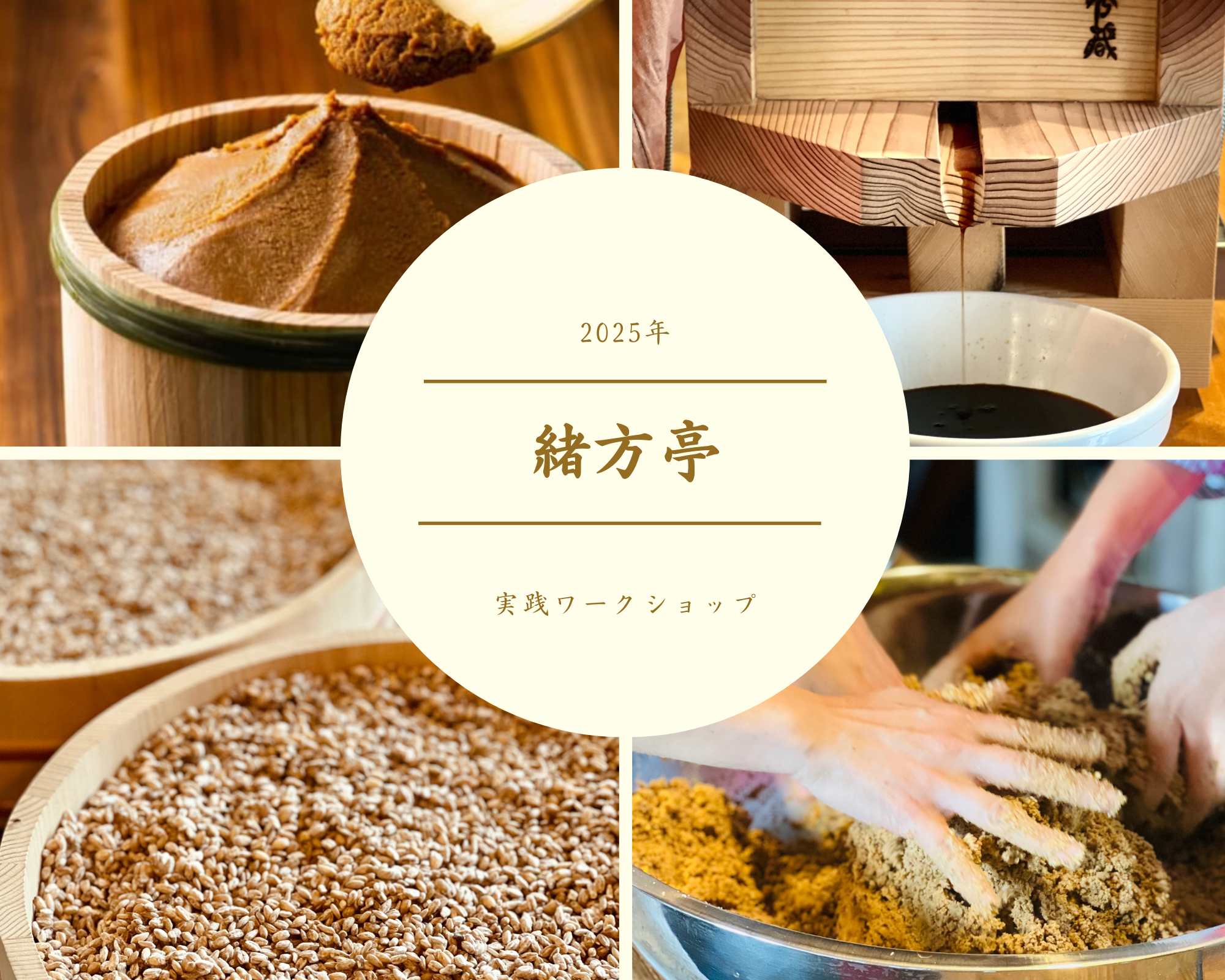 Bulk purchase of practical workshops