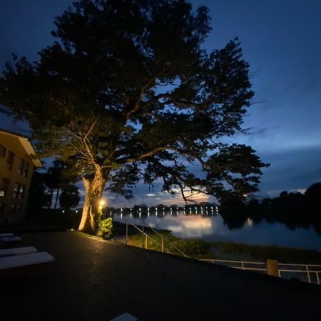 Un sistema de comunicación y entendimiento limitado