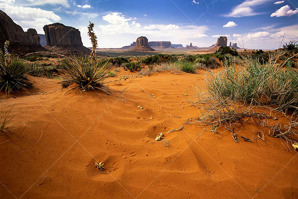 Monument Valley