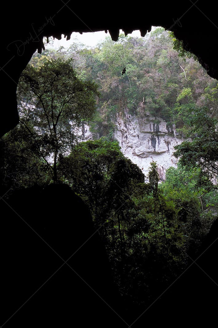 Caver rappelling cave sinkhole