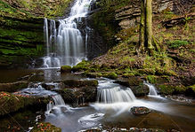 Scaleber Force