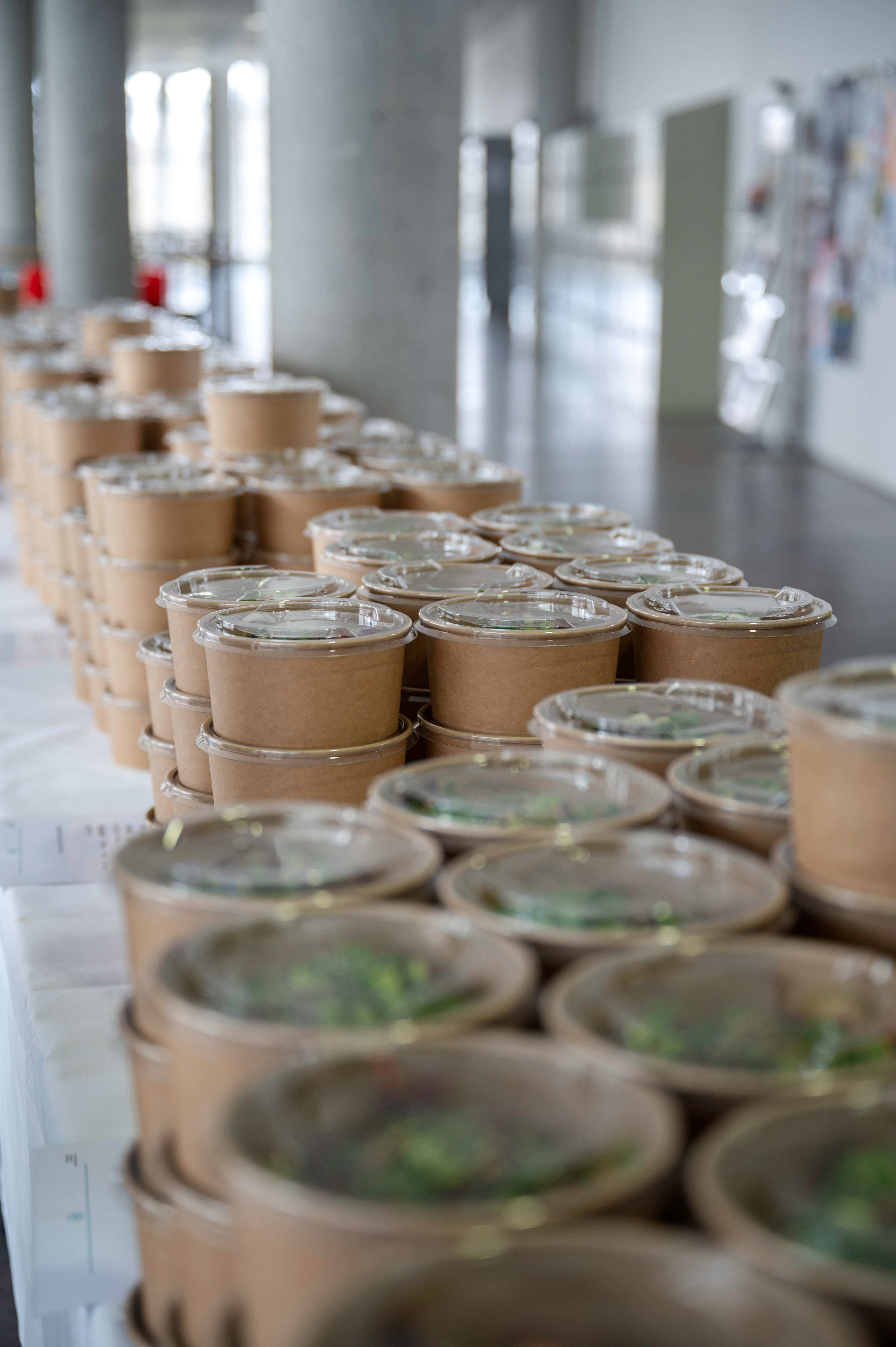 Arranged Food and Objects