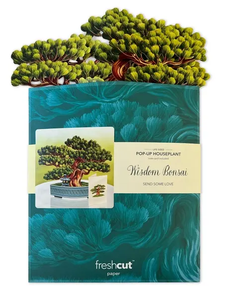 Thumbnail: Wisdom Bonsai Pop-Up Card