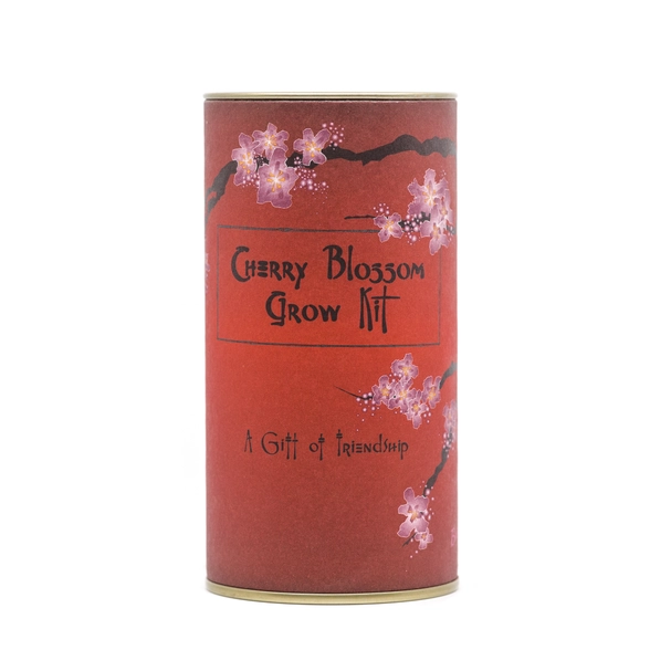 Cherry Blossom Tree Grow Kit