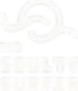 soulty logo.png