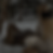 IMG_0706_edited.png