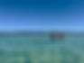 Embrace Kayaking - Sand Islands, Lake Macquarie