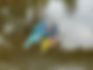 Women Embrace Winter Kayaking - Dora Creek, Lake Macquarie