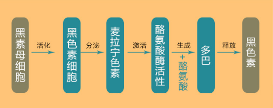 pasted image 0 (4).png