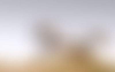 Qu'est-ce que "La cavalière" ?