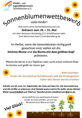 Sonnenblumen  (1).jpg