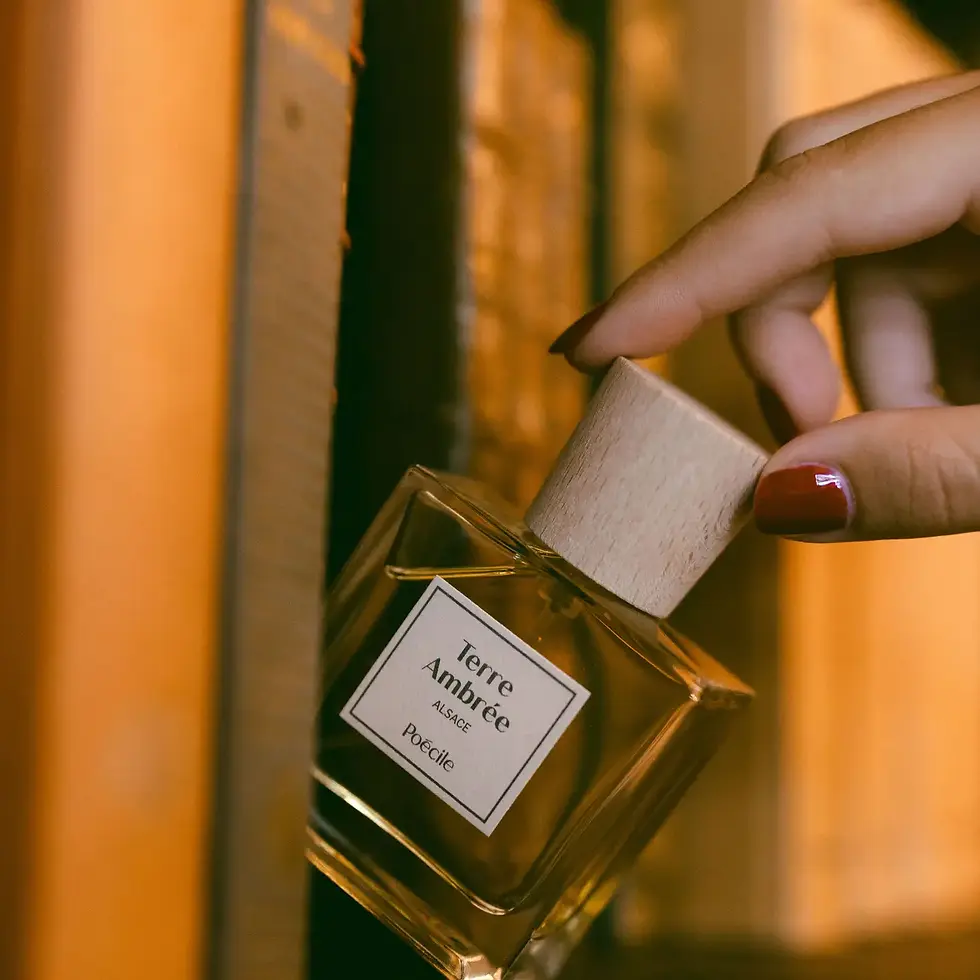 Thumbnail: Poécile – Terre Ambrée