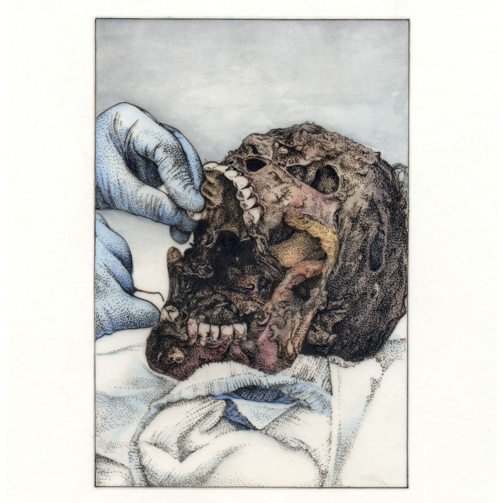 Odontology