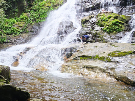 Embracing Tranquility: How Nature's Beauty Offers Stress Relief and Peaceful Reflection
