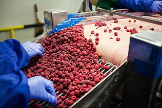 Food factory
