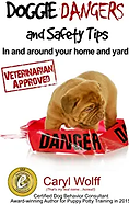 doggie dangers and safety tips book