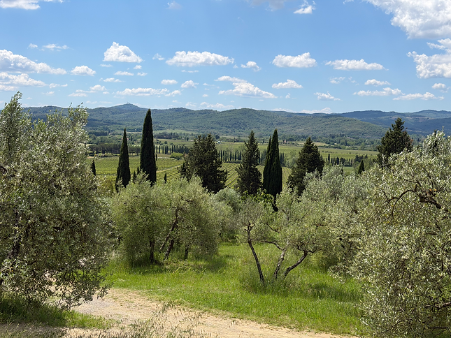 IMG_3738.HEIC
