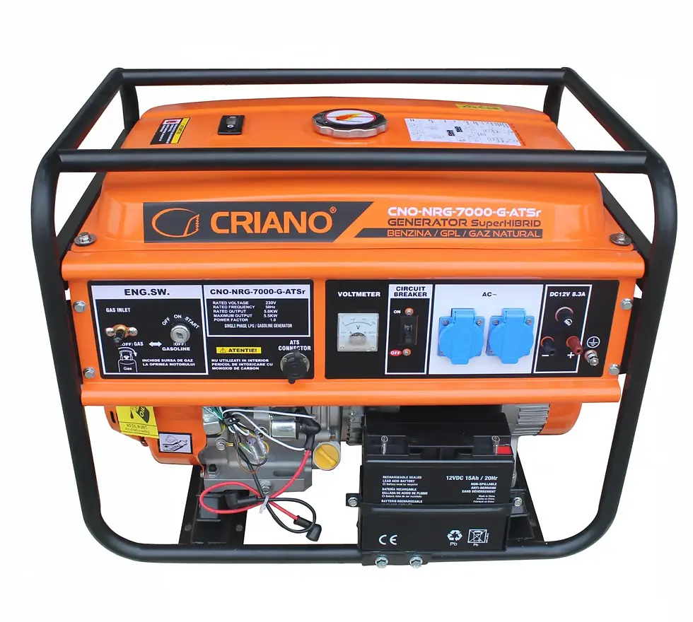 Miniatură: Generator s. hibrid GPL/Gaz Natural/Benzina 230V 5,5 kW CRINO CNO-NRG-7000-G-ATS