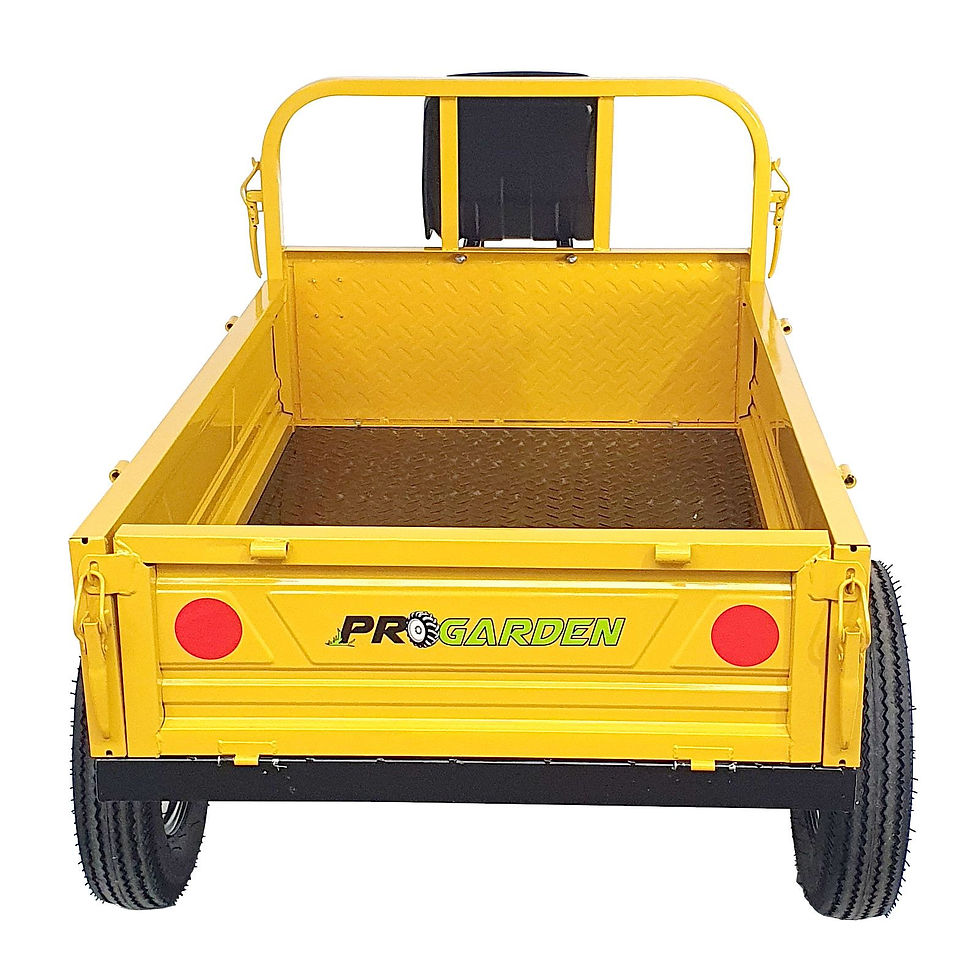 Miniatură: ProGARDEN Campo RM500C remorca 500kg motocultor, 1 osie, prindere bolt