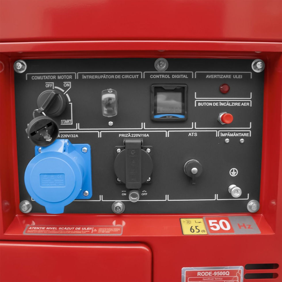 Miniatură: Generator curent insonorizat Rotakt RODE9500Q 6.6kW 230V AVR cu ATS