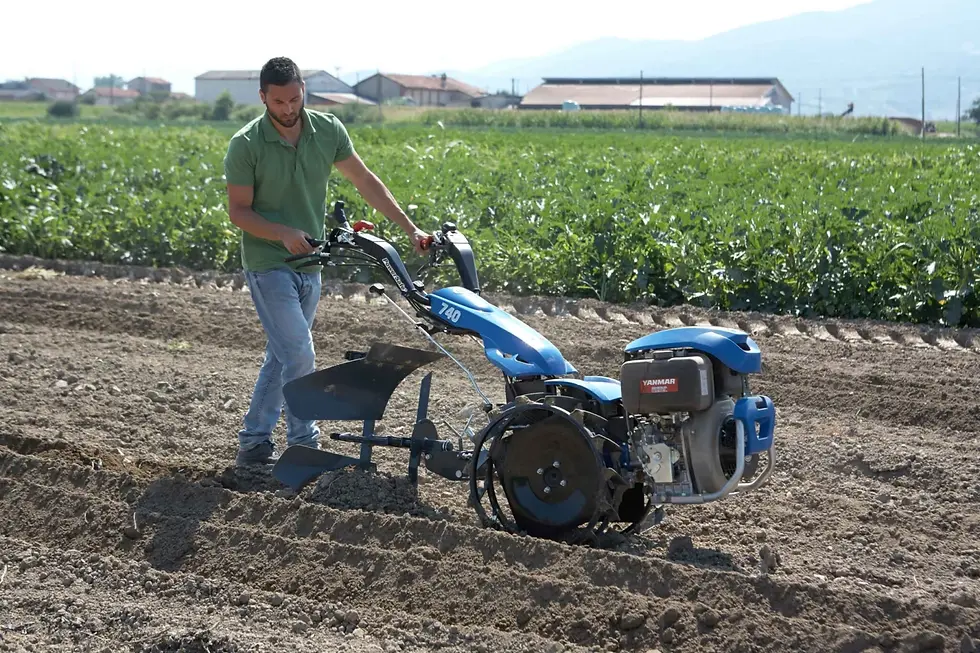 Miniatură: Motocositoare BCS 740PS GX390 ALPINA Benzina 11.7 cp, latime de taiere 115 cm