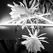 20210702_000750.jpg