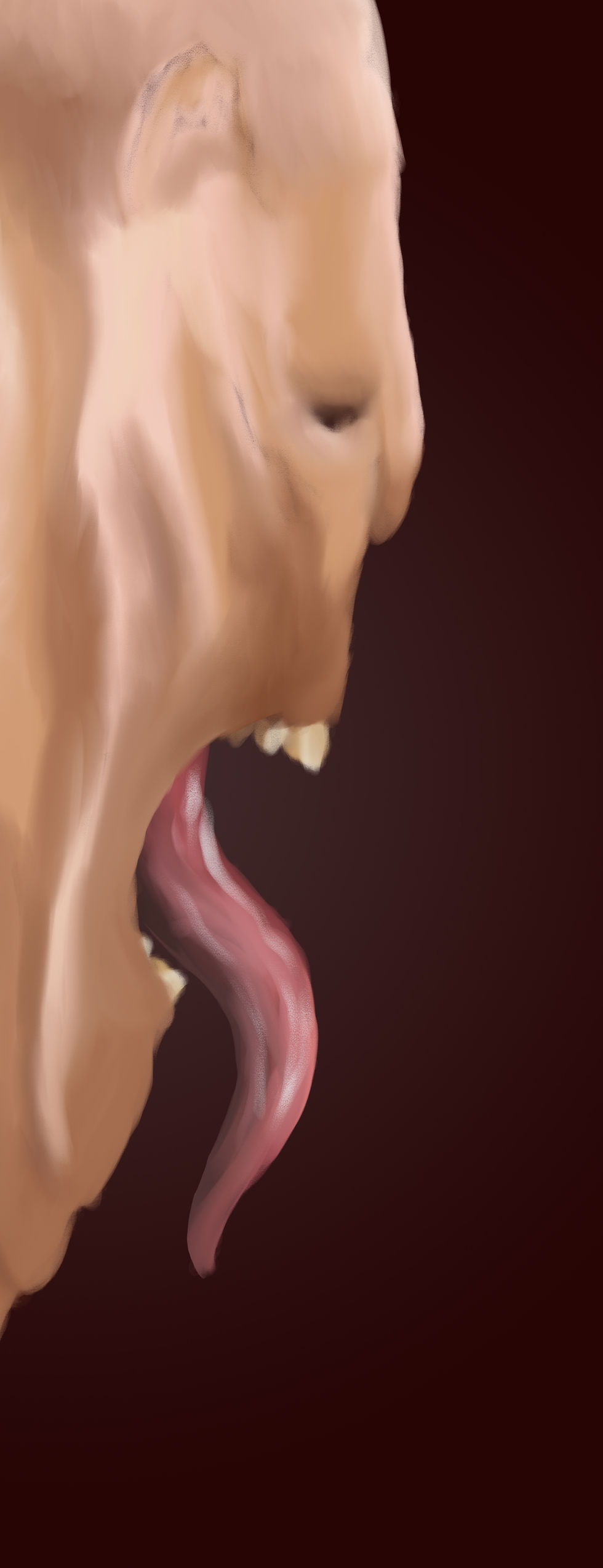 AP Studio Art Project 14 copy.jpg