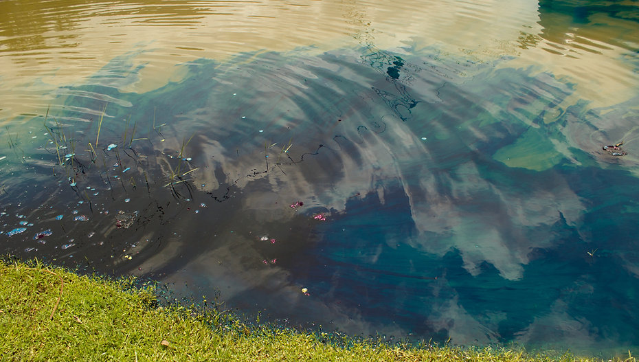 Pond Dye Australia Pond Dye