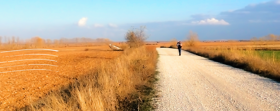 img-header.png