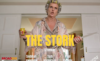 The Stork