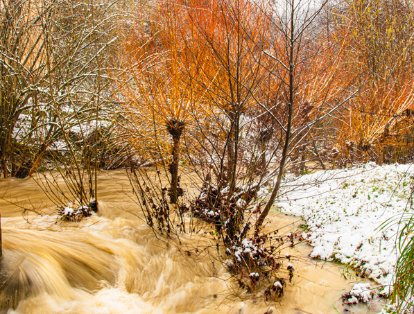 torrente in piena.png