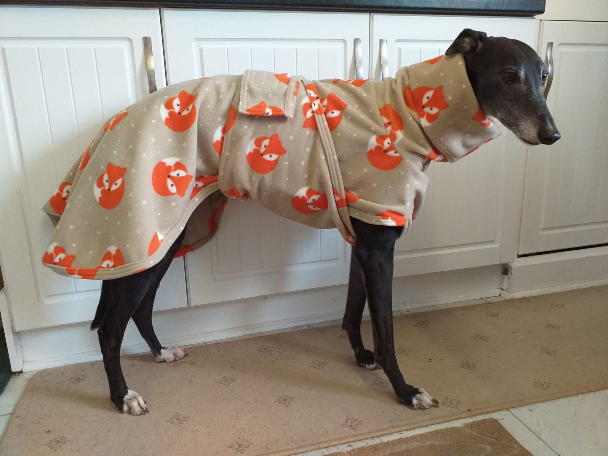 Houndsies - Beige Foxes