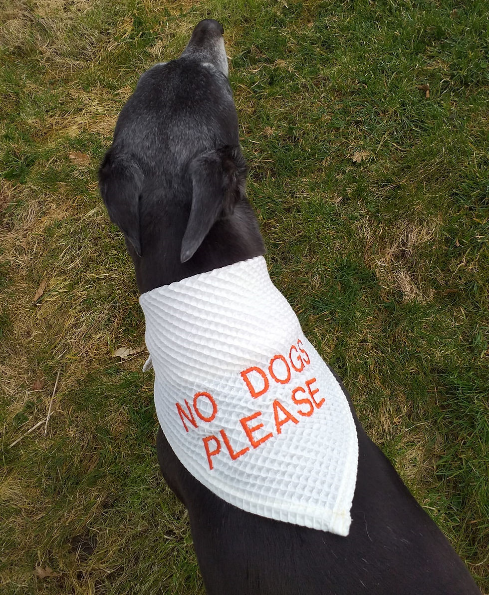 Thumbnail: Jazzy Cooling Bandanas