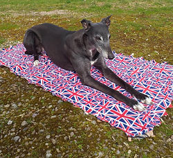 Reversible Double Fleece Patterned Blankets
