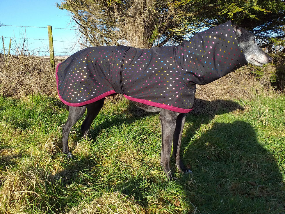 Thumbnail: Jazzy Jacket - Dazzling Diamonds
