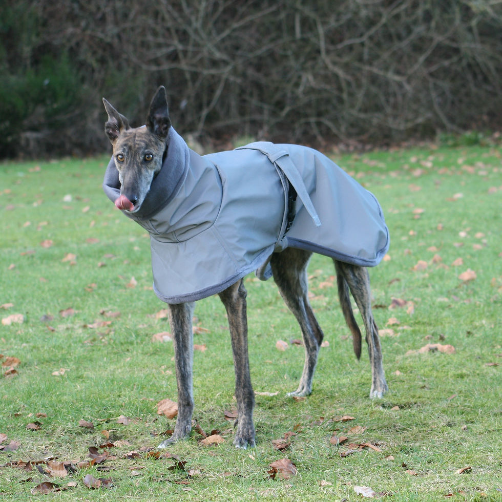 Thumbnail: Reflective Ghost Coat