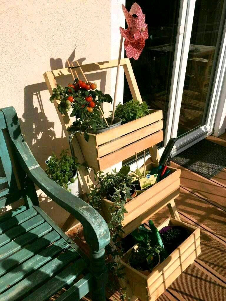 Kräuter/Blumenregal DANDLBERG