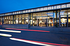 2011-11-04 171306_oliv_sc Kopie.jpg