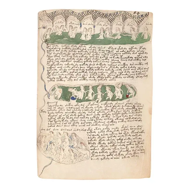 Miniaturbild: Das Voynich Manuskript – Gesamtdarstellung aller Tafeln