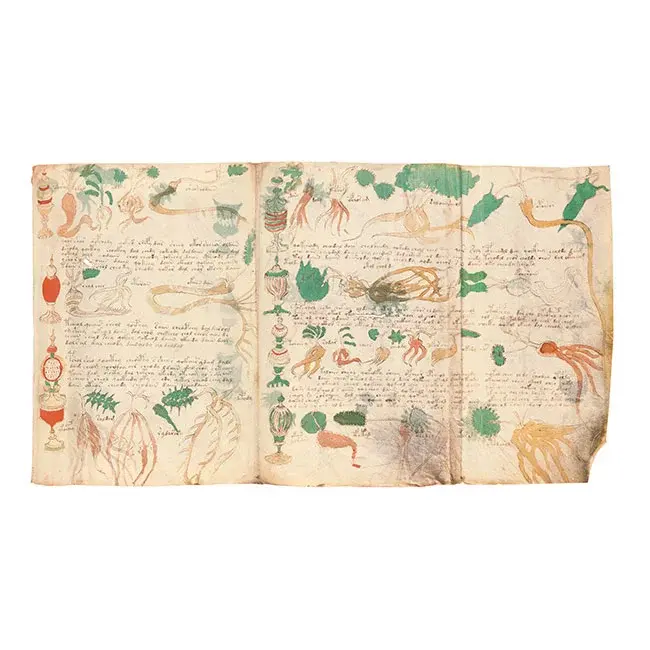 Miniaturbild: Das Voynich Manuskript – Gesamtdarstellung aller Tafeln