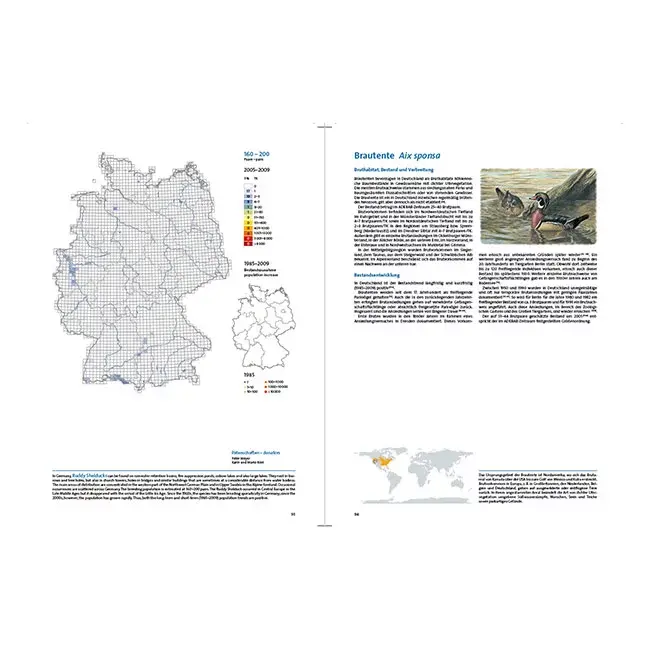 Miniaturbild: Atlas deutscher Brutvogelarten (ADEBAR). Atlas of german breeding birds