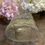 Thumbnail: Vintage Clear Glass Wine Bottle with Grapes Design