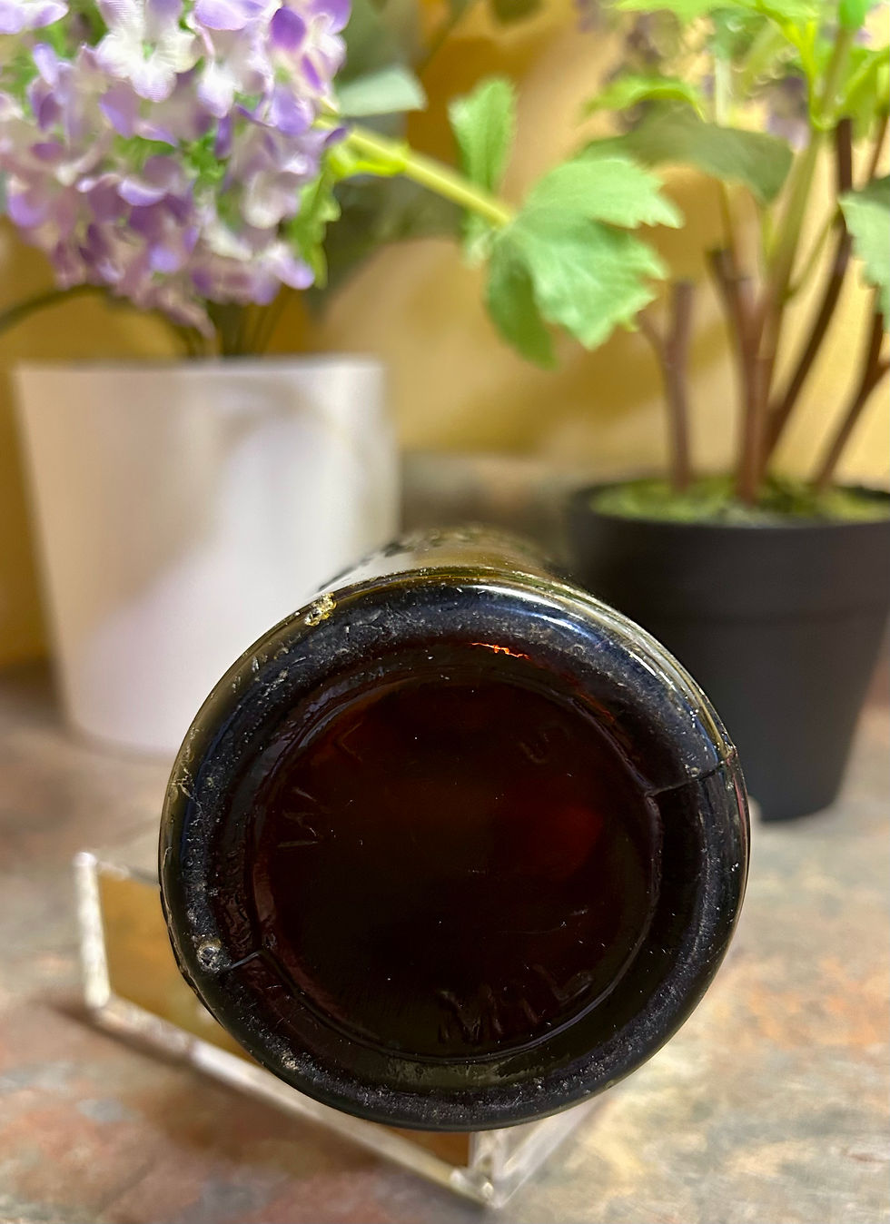 Thumbnail: Stevens Point Br'g Co, Stevens Point, Wis. Amber Glass Bottle