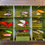 Thumbnail: Tray #329: Blade Bait Variety
