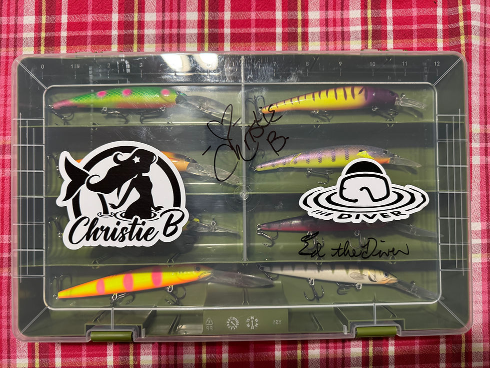 Thumbnail: Tray #522- 8 Deep/Mid Divers w/ autographed tray