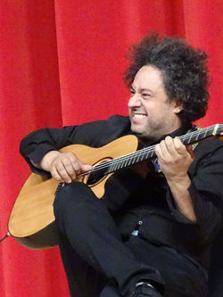 Diego Figueiredo - Brazilian Guitarist