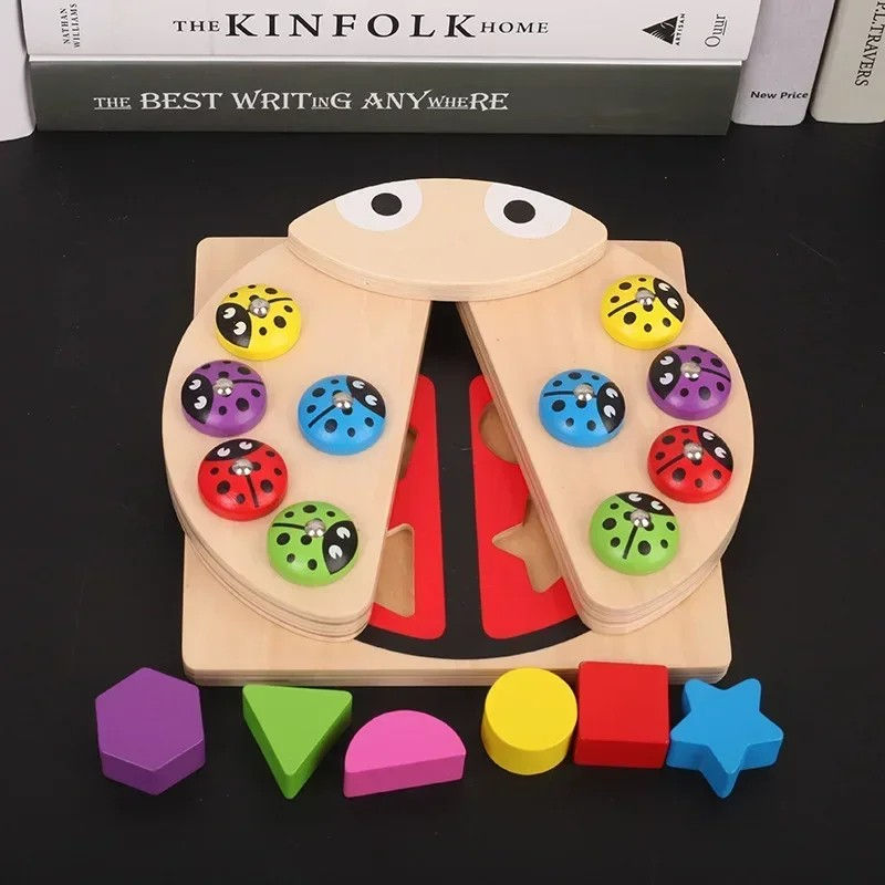 The wooden ladybird toy with wings closed, showing the colourful magnetic spots on top.