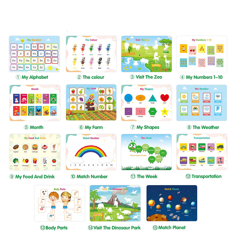 Montessori Preschool Busy Book Activity Set