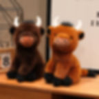 Dark brown and light brown fluffy Highland cattle stuffed animals sitting together on a wooden desk.